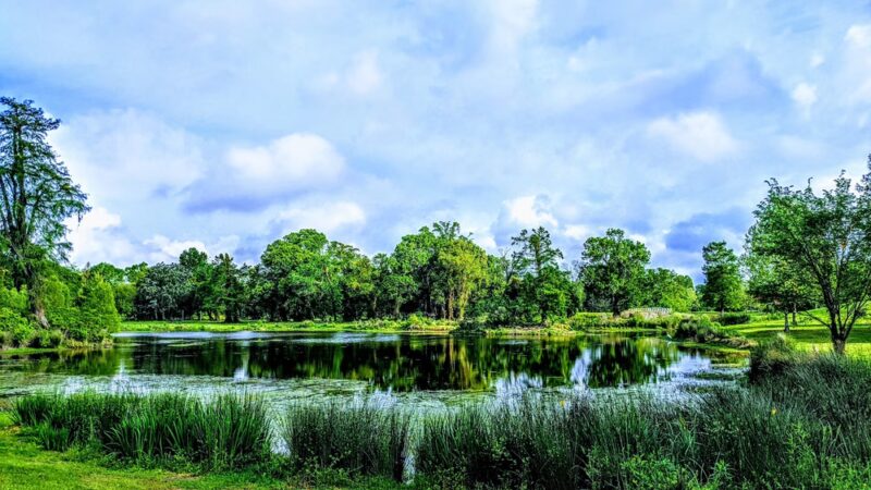 Brechtel Park - New Orleans, LA