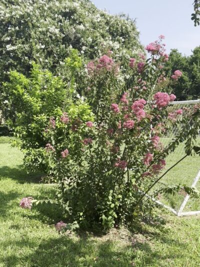 Cabrini Playground - New Orleans, LA