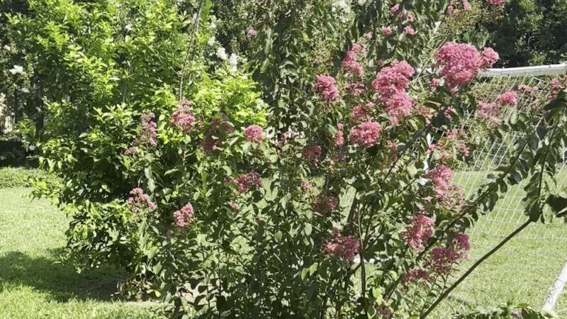 Cabrini Playground - New Orleans, LA