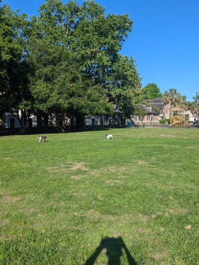 Cabrini Playground - New Orleans, LA