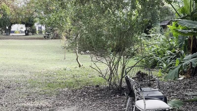 Clouet Gardens - New Orleans, LA