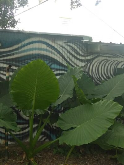 Clouet Gardens - New Orleans, LA