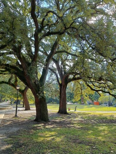 Coliseum Square Park - New Orleans, LA