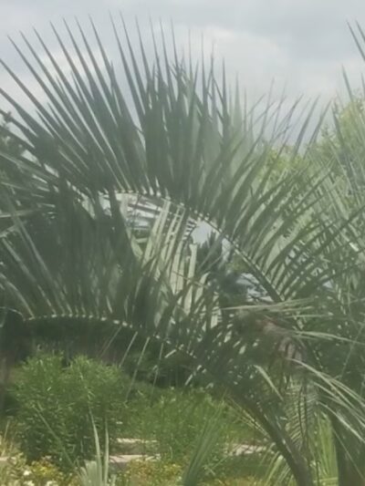 Crescent Park - New Orleans, LA