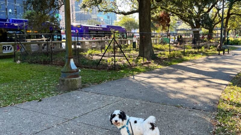 Duncan Plaza Dog Park - New Orleans, LA