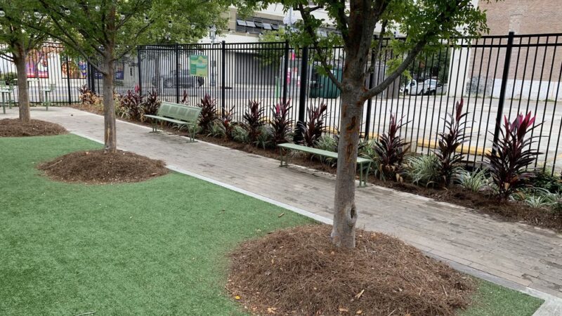 Legacy Park - New Orleans, LA