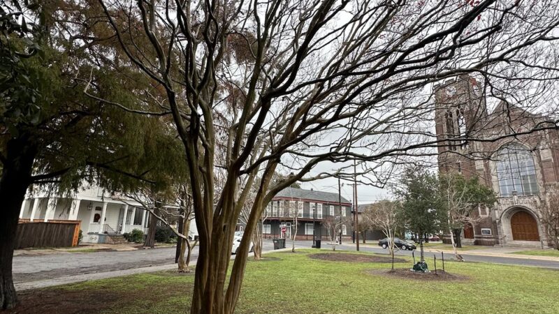 McDonogh Memorial Park - New Orleans, LA