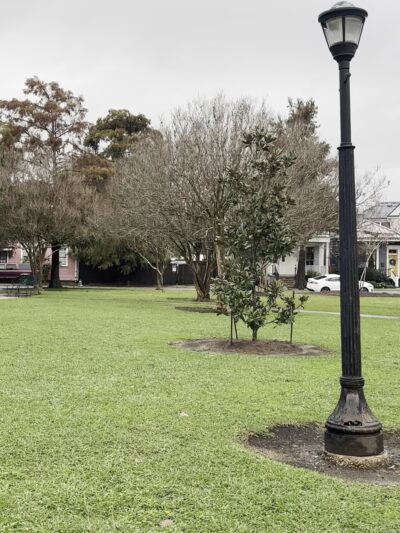 McDonogh Memorial Park - New Orleans, LA