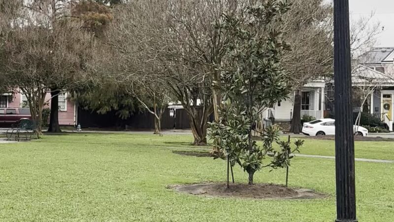 McDonogh Memorial Park - New Orleans, LA