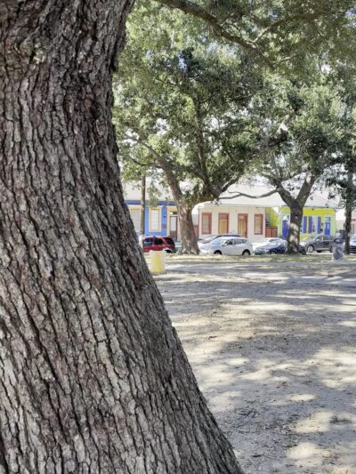 Mickey Markey Park - New Orleans, LA