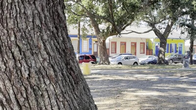 Mickey Markey Park - New Orleans, LA