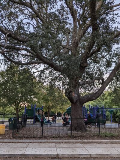 Mickey Markey Park - New Orleans, LA