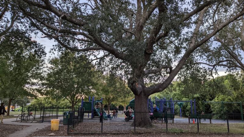Mickey Markey Park - New Orleans, LA