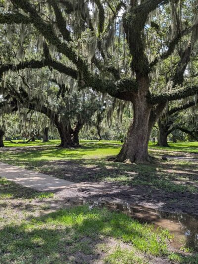 New Orleans City Park - New Orleans, LA
