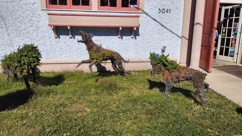 NOLA Bark Market - New Orleans, LA