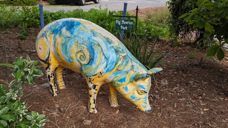 Pig Newton Park - New Orleans, LA