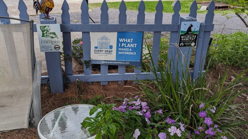 Pig Newton Park - New Orleans, LA