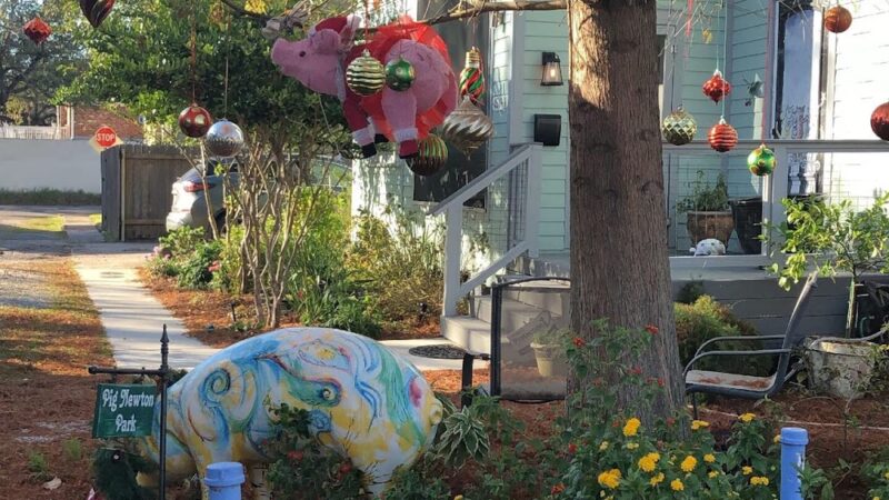 Pig Newton Park - New Orleans, LA