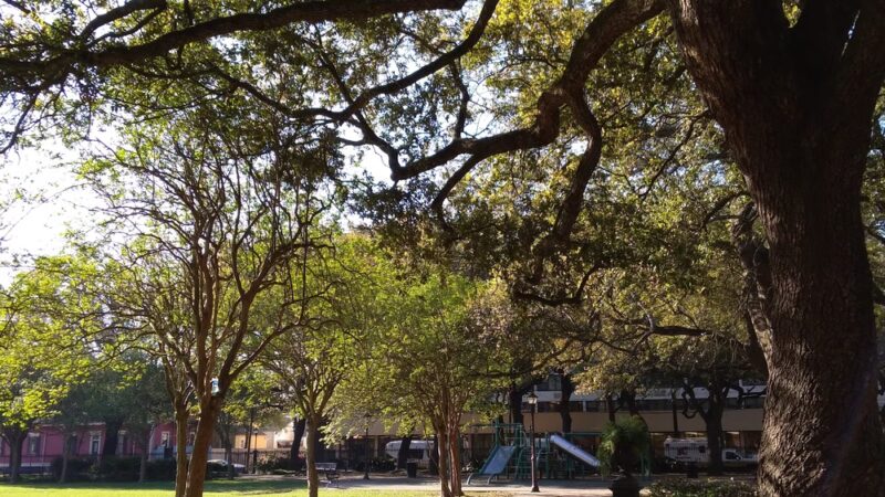 Washington Square - New Orleans, LA