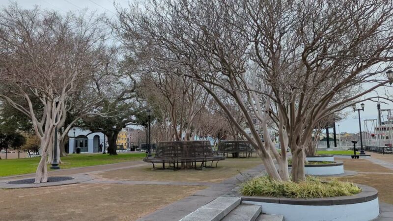 Woldenberg Park - New Orleans, LA