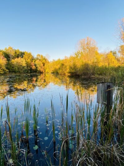 Baintertown Park ‒ River Preserve County Park - New Paris, IN