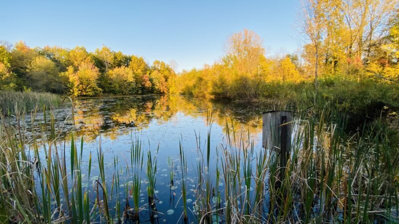 Baintertown Park ‒ River Preserve County Park - New Paris, IN