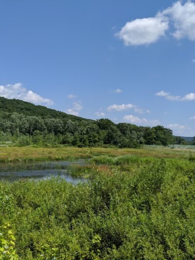 Macricostas Preserve - New Preston, CT