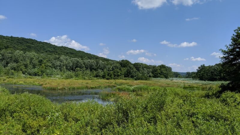 Macricostas Preserve - New Preston, CT