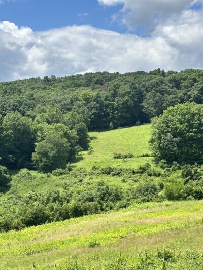 Macricostas Preserve - New Preston, CT