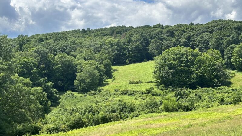 Macricostas Preserve - New Preston, CT