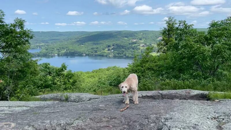 The Pinnacle - New Preston, CT