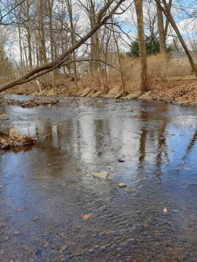 Lion's Park - New Providence, NJ