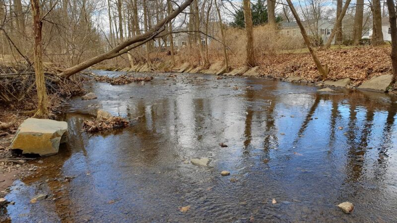 Lion's Park - New Providence, NJ