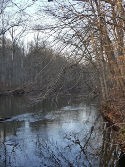 Oakwood Park - New Providence, NJ