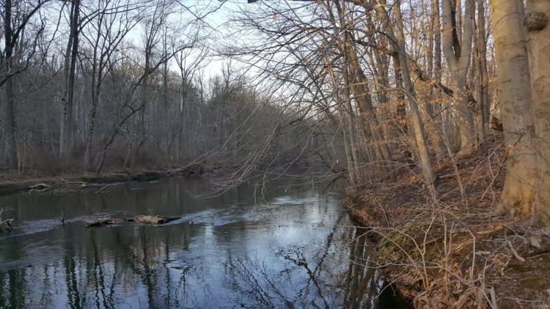 Oakwood Park - New Providence, NJ