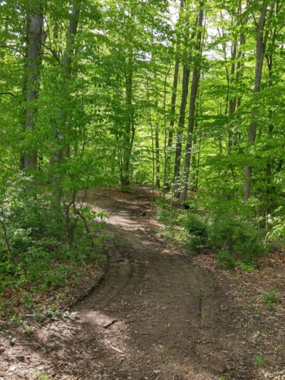 Oakwood Park - New Providence, NJ