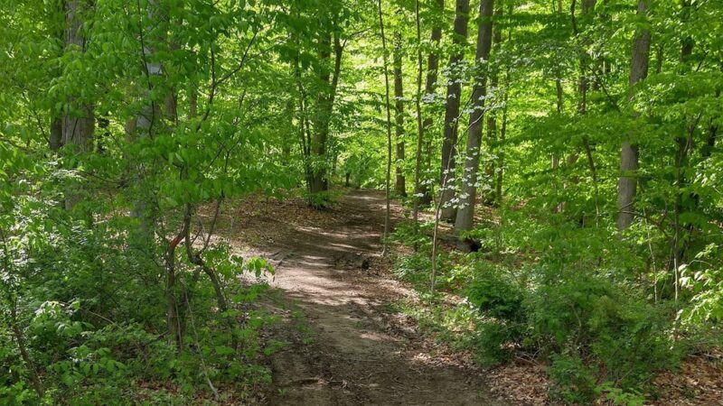 Oakwood Park - New Providence, NJ