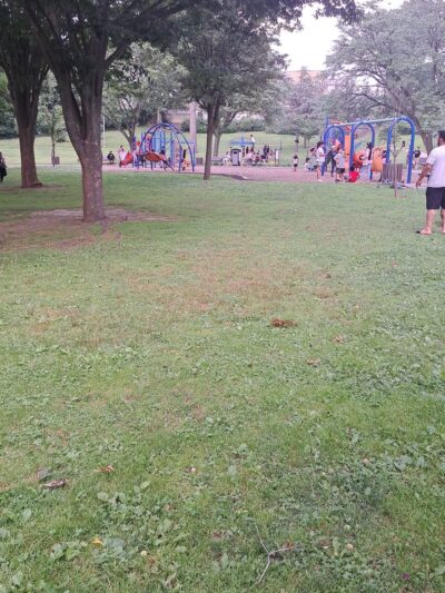 Feeney Park - New Rochelle, NY