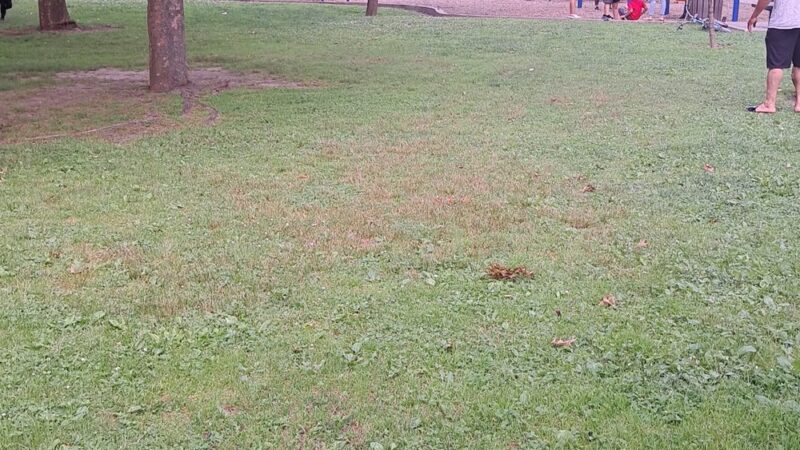 Feeney Park - New Rochelle, NY