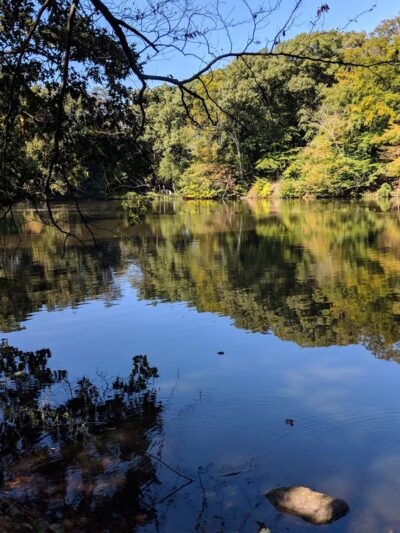 Glenwood Lake - New Rochelle, NY