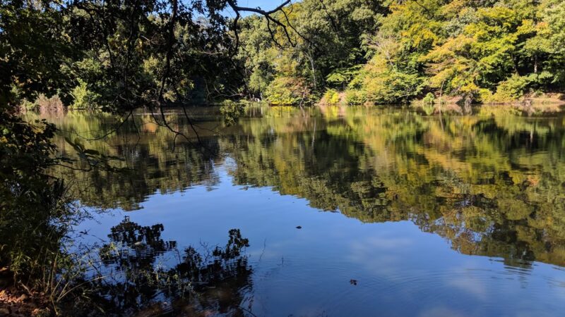 Glenwood Lake - New Rochelle, NY