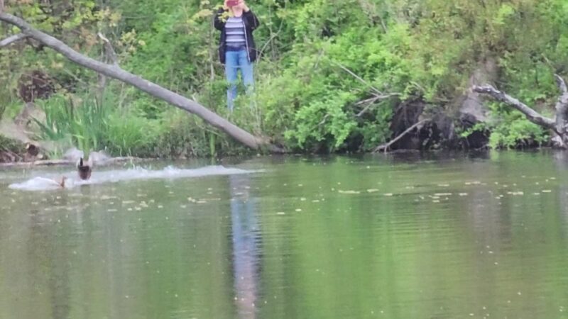 Glenwood Lake - New Rochelle, NY