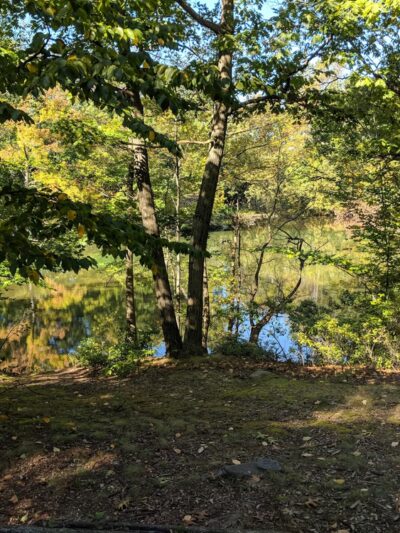 Glenwood Lake - New Rochelle, NY