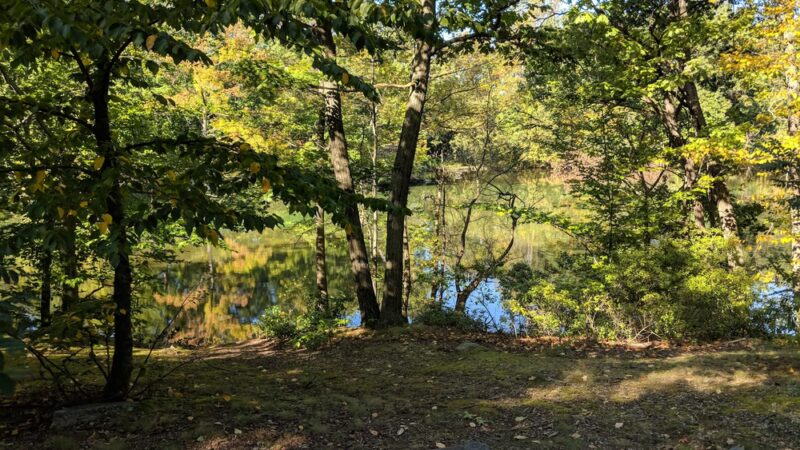 Glenwood Lake - New Rochelle, NY