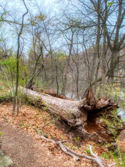 Glenwood Lake - New Rochelle, NY