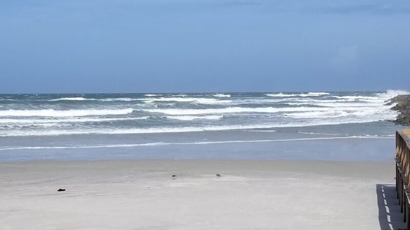 Ponce Inlet Dog Beach Ponce Inlet FL - New Smyrna Beach, FL