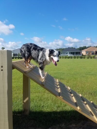 Smyrna Dunes Park - New Smyrna Beach, FL