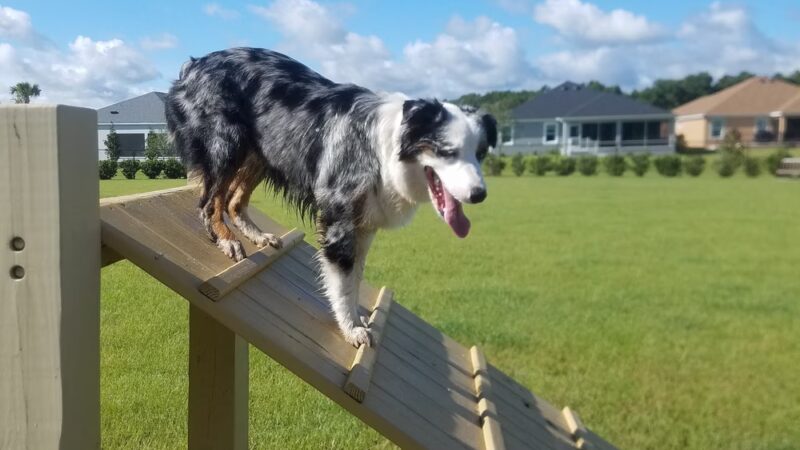 Smyrna Dunes Park - New Smyrna Beach, FL
