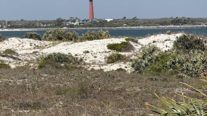 Smyrna Dunes Park - New Smyrna Beach, FL