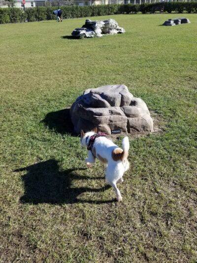 Smyrna Dunes Park - New Smyrna Beach, FL